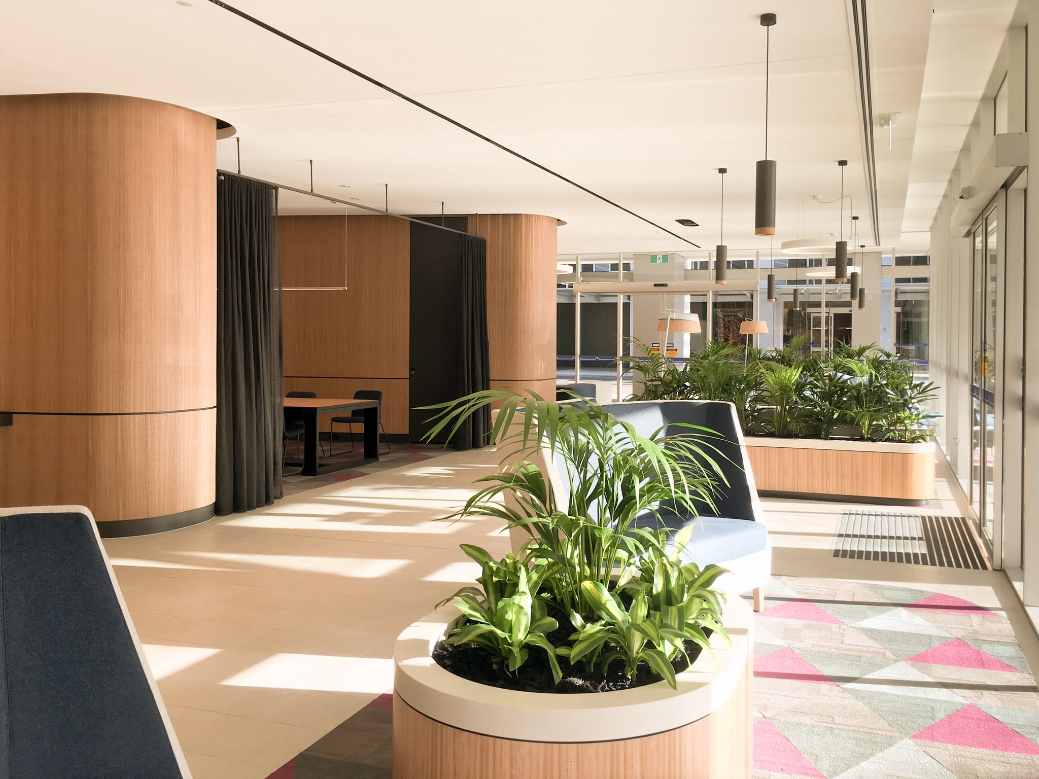 Meeting nook with a timber table and blue chairs behind a grey curtain, round planters and patterned carpet in the workplace lobby