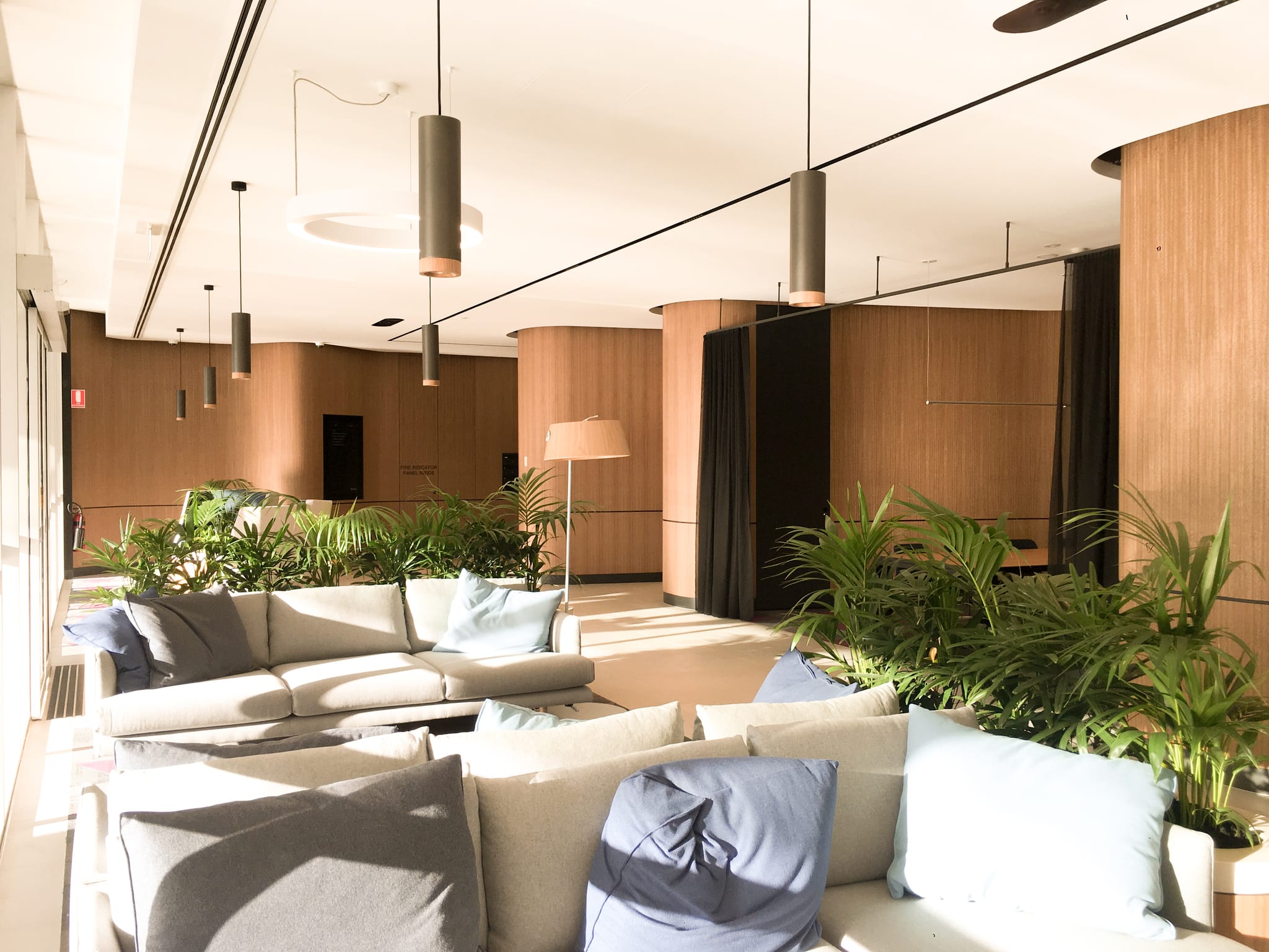 Sunlit lounge setting with cream sofas, blue cushions and leafy palms against curved timber walls in the Macquarie Park lobby